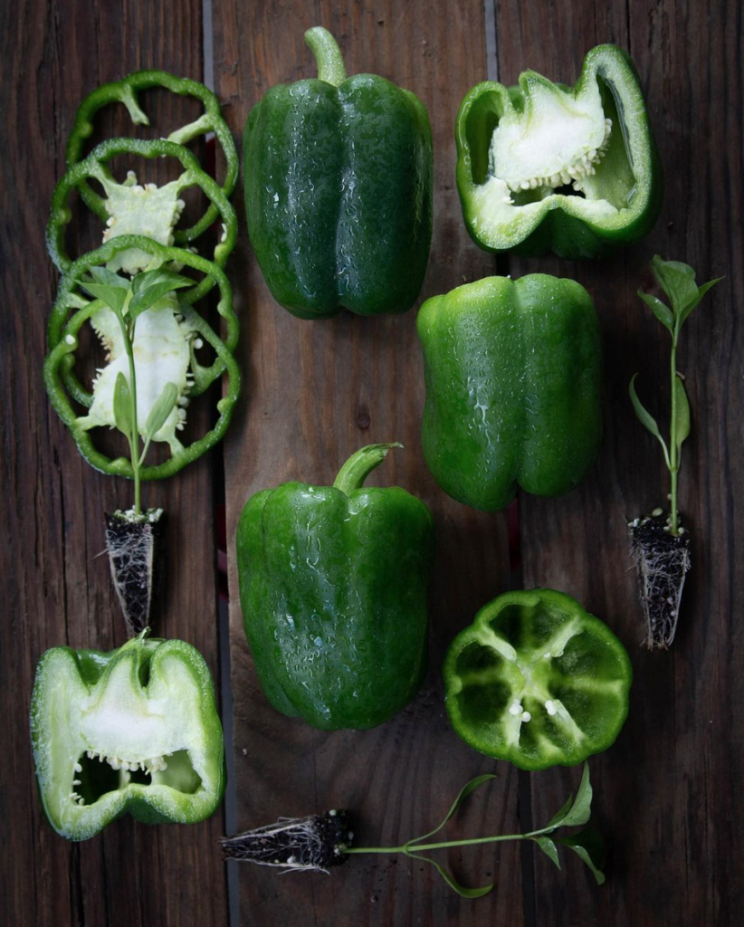 Display of sliced green bell peppers