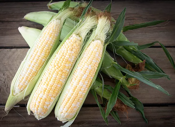 Organic sweet corn